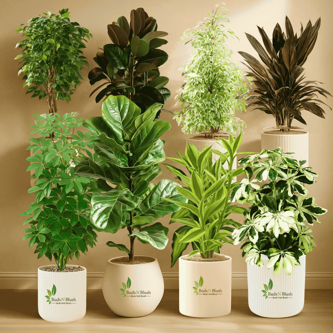 Smart Savings Bundle