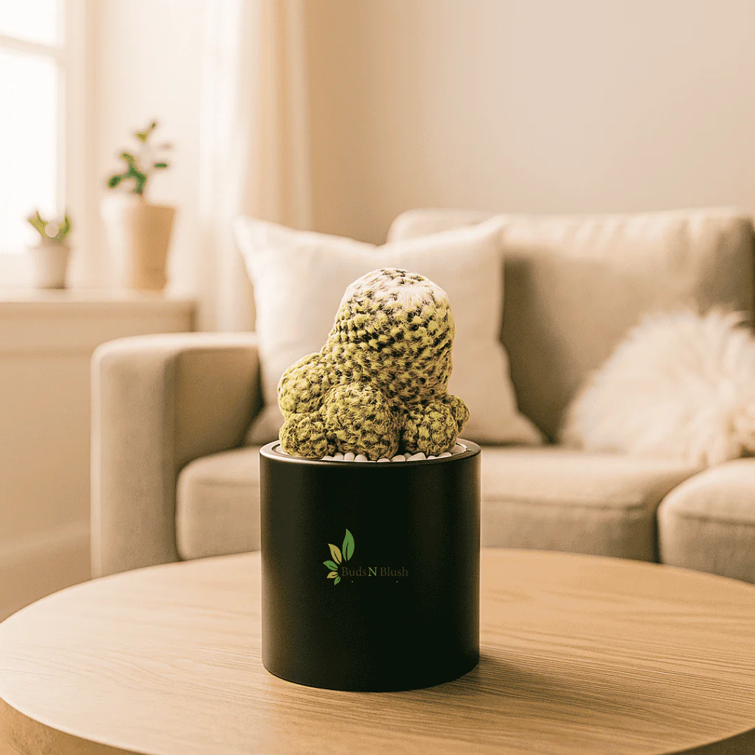 Majestic Rare Cactus